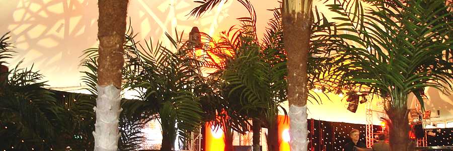 palms at vodafone